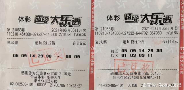 体育彩票大乐透中奖查询2208，梦想与现实的交汇