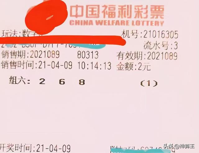 体育彩票24036期开奖结果揭晓，梦想与幸运的碰撞