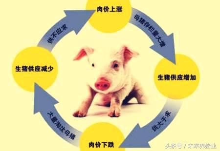 排列五带坐标带连线走势图，解锁彩票分析新境界，助你稳操胜券