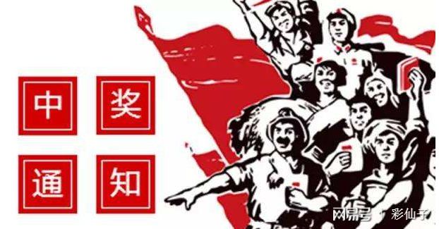 3D号码今日结果，揭秘彩票背后的数字游戏与心理博弈
