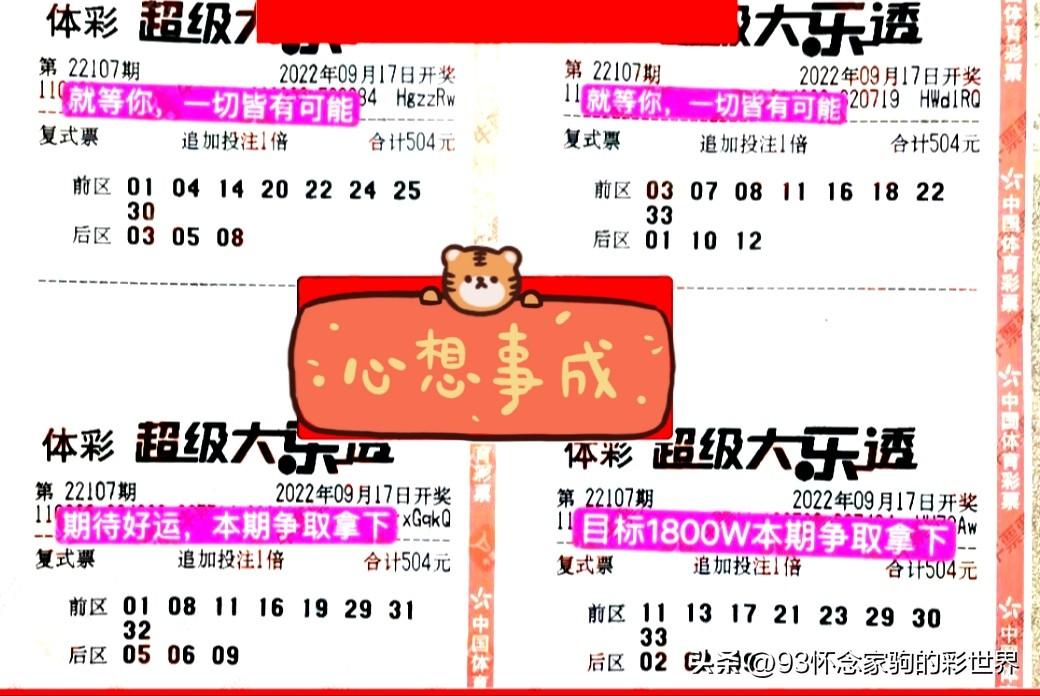 2017年大乐透开奖公告，梦想与奇迹的交汇