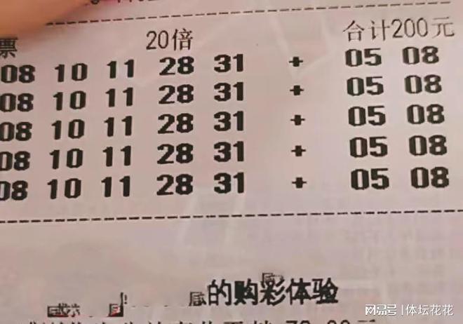 探索大乐透的奇妙世界，揭秘300期开奖结果图