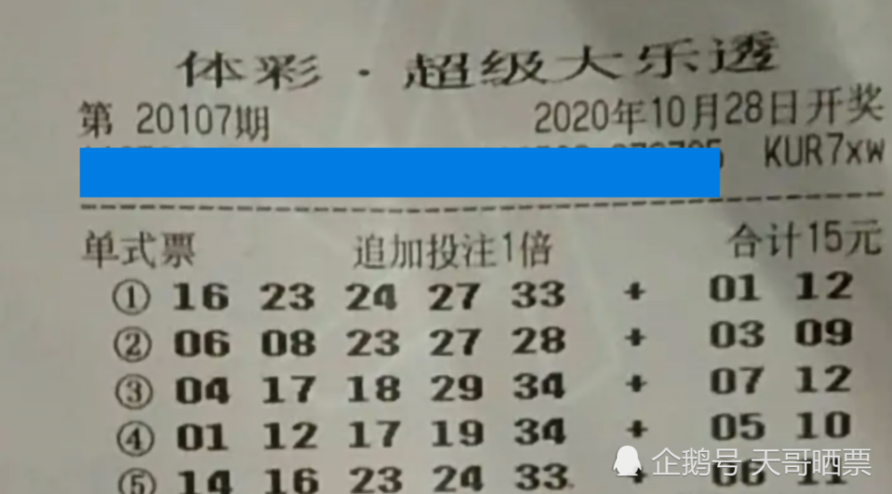 2023年大乐透第23015期开奖结果深度解析与彩民心声