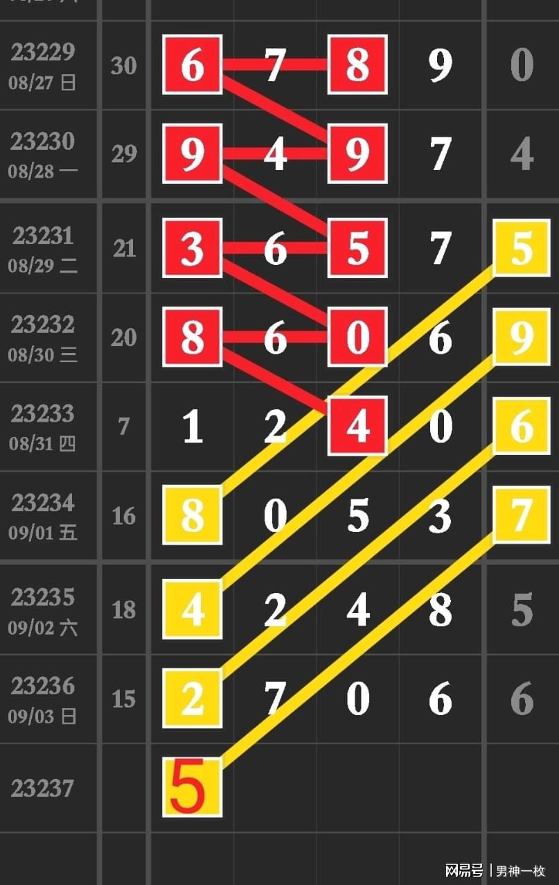 排列五近期号码走势分析，探寻数字背后的规律