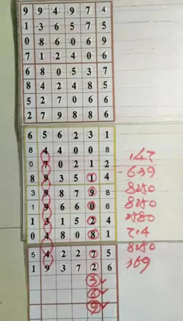 排列五试机号与开奖号，揭秘背后的数字游戏