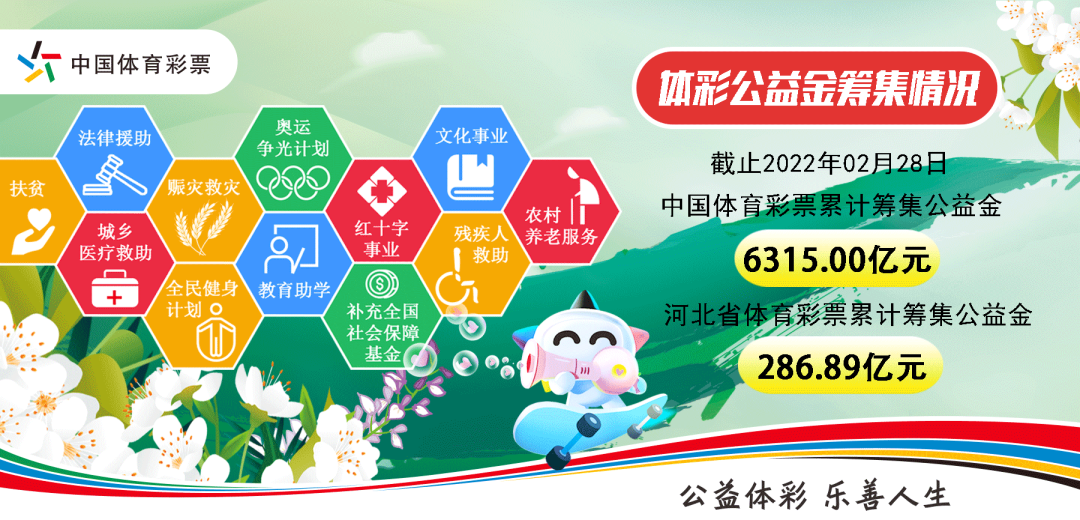 全国福彩开奖查询，透明、公正、便捷的公益之窗