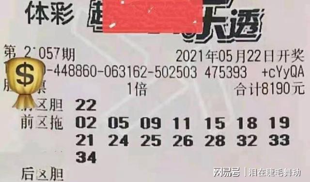 查一下彩票中奖，梦想与现实的交织