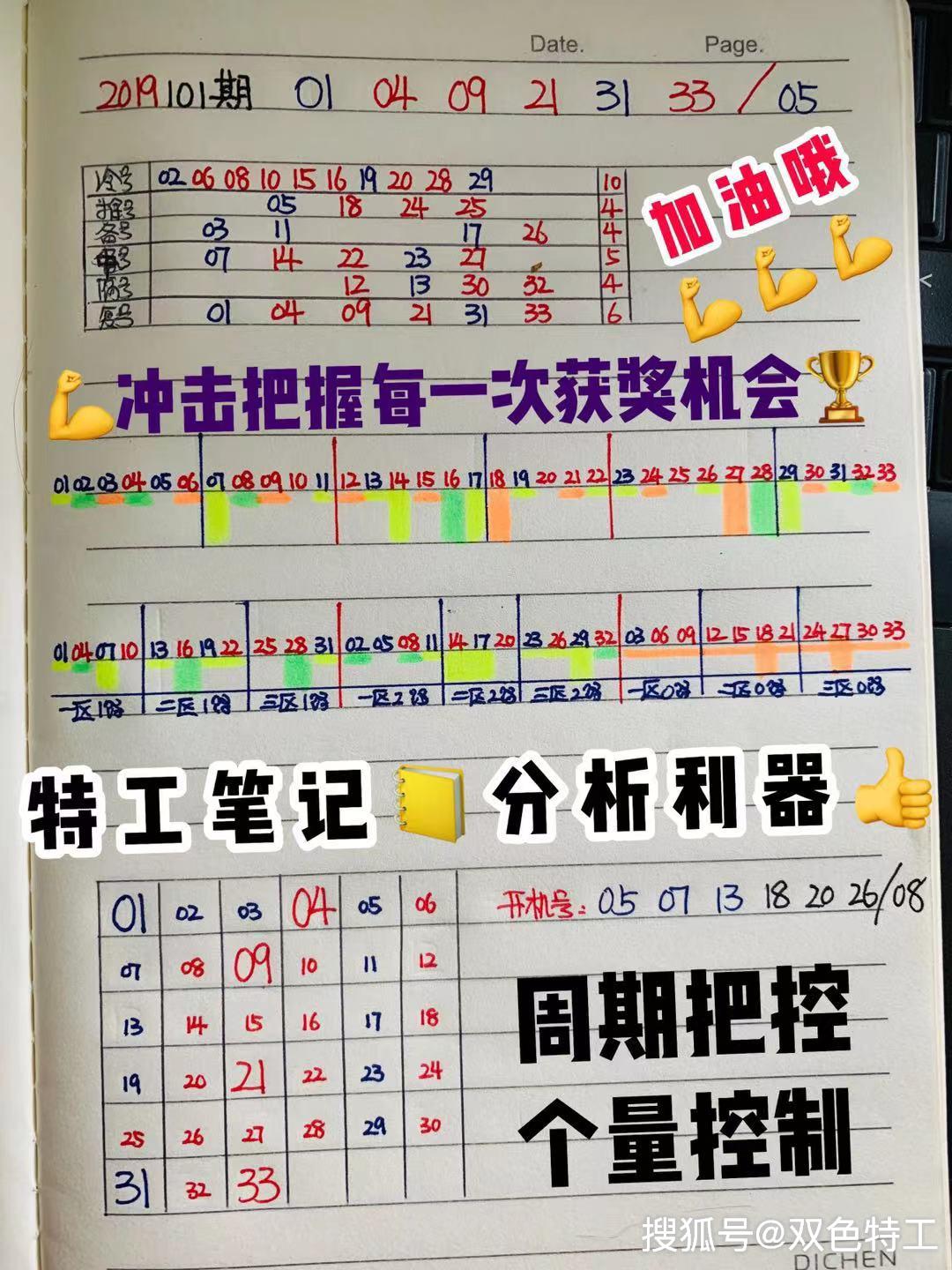 探索双色球开奖奖走势图，揭秘数字背后的秘密
