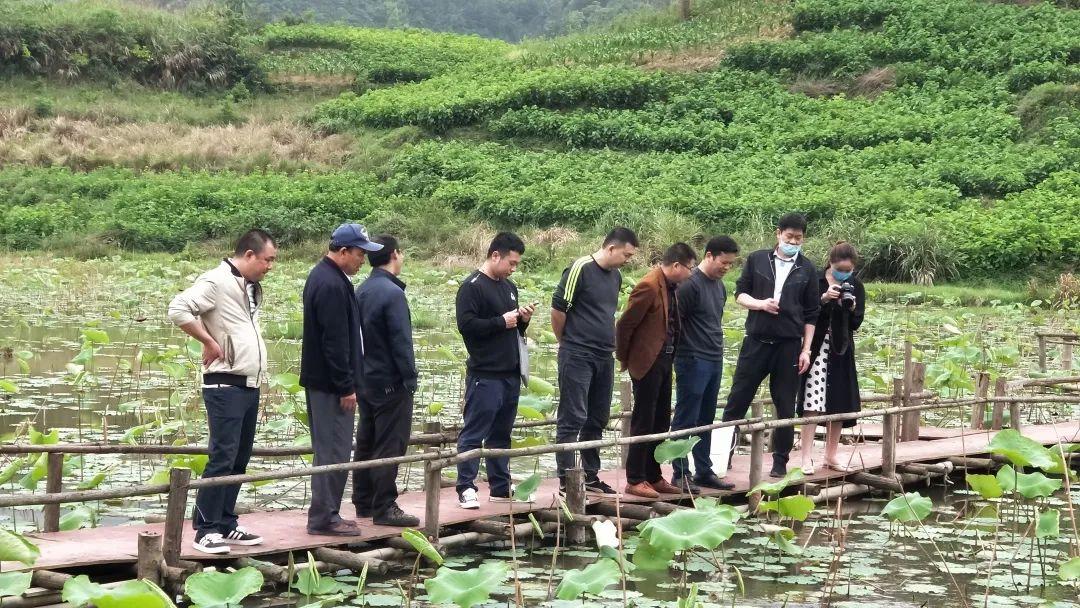 福利彩票收入，公共福祉的坚实后盾