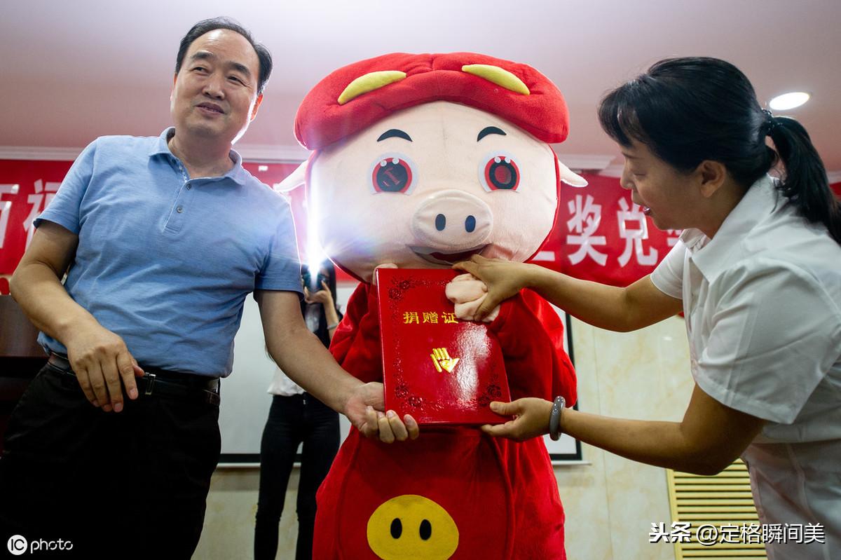 今晚双色球开奖结果图，揭秘幸运数字的奥秘