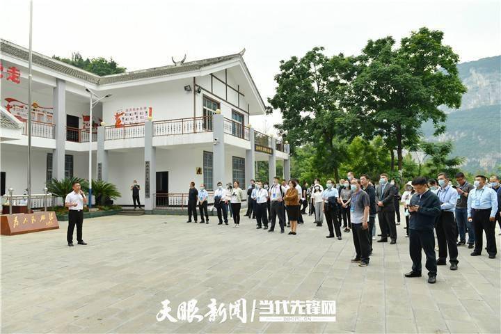 福建体彩31选7，数字背后的幸运与智慧
