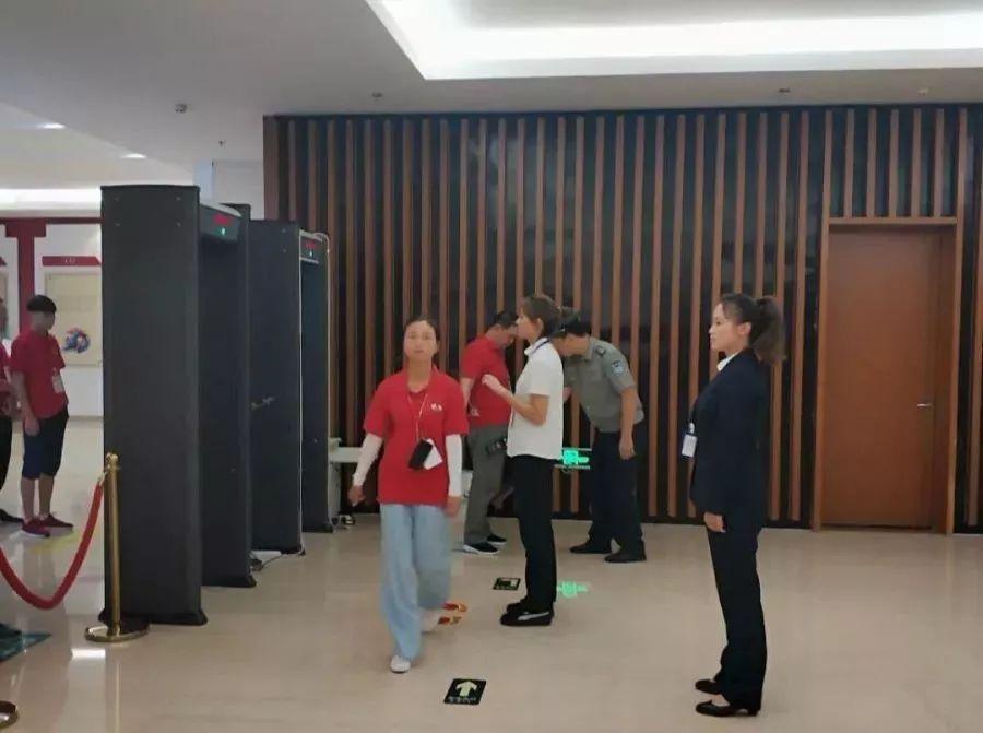 今日双色球开奖号码公告，揭秘幸运数字的奥秘