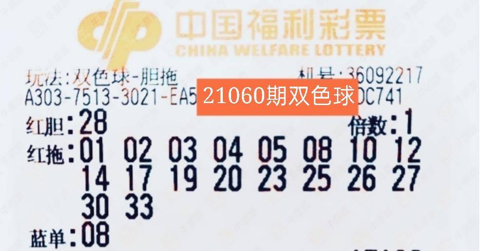 今日双色球开奖号码查询结果96期，揭秘幸运数字，共赴公益之旅