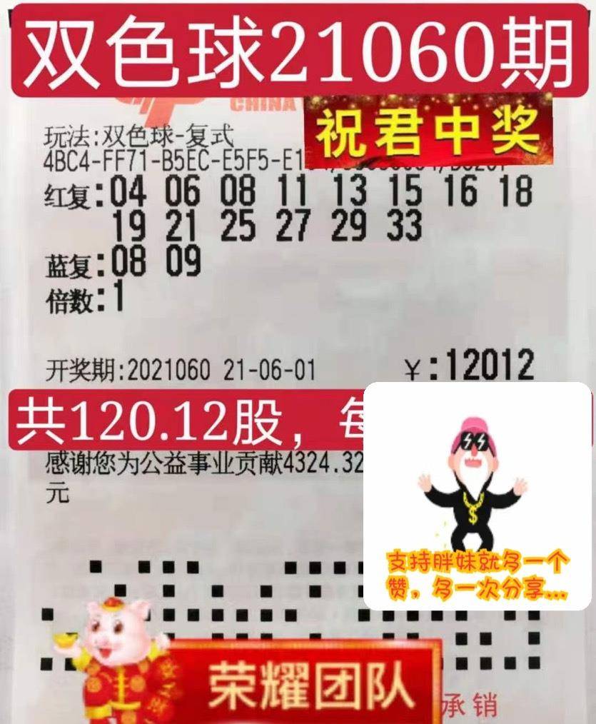 今日双色球开奖号码揭秘，幸运数字的奇妙之旅