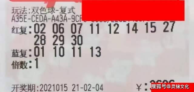 2011041期双色球开奖结果，梦想与幸运的碰撞