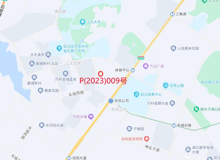 2023年双色球最新开奖结果，009期揭晓，幸运数字引爆全民热潮