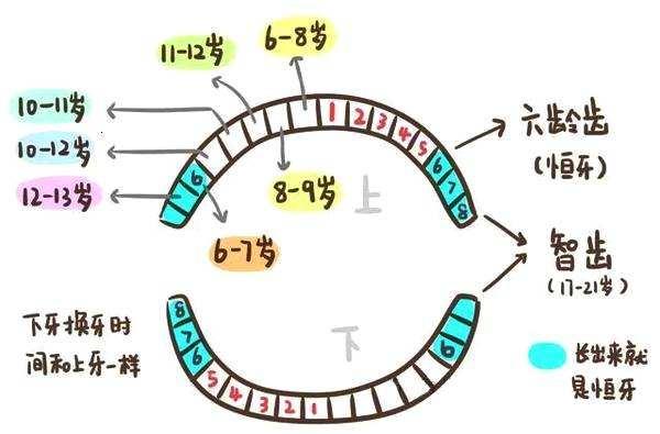 2025年6月3日 第4页