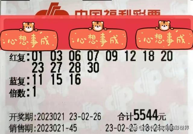 2023101双色球，梦想与幸运的碰撞