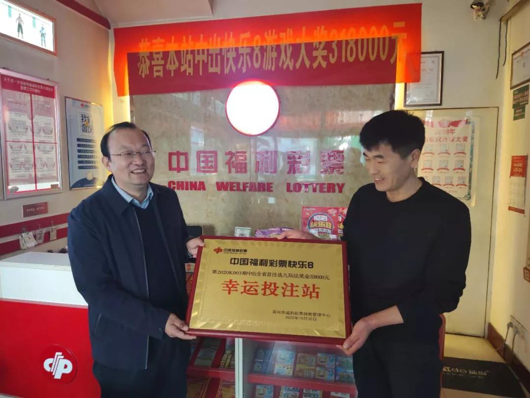 山东11选5今日开奖揭秘，数字游戏中的幸运与期待