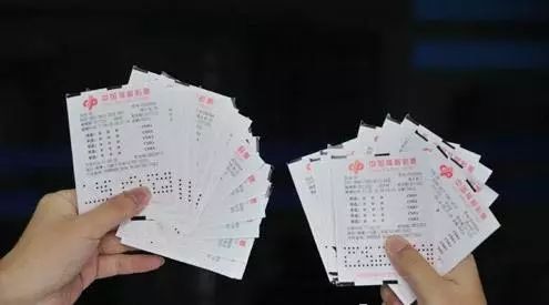 2022年蓝仙子一句定三码，揭秘彩票背后的智慧与乐趣