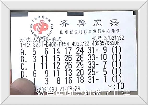 探索双色球2021062，揭秘龙头凤尾的奥秘