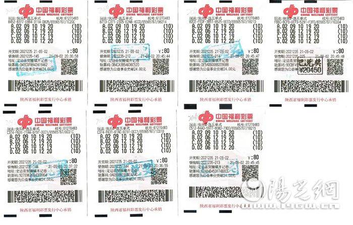 福彩3D彩圣字谜，揭秘背后的智慧与乐趣