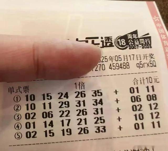 辽宁真人胆码预测，揭秘数字背后的奥秘