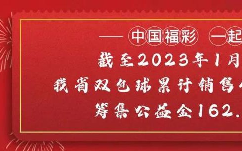 探索中国福利彩票双色球第2025001的神秘魅力与公益力量