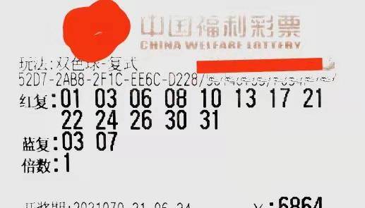 排三17500乐彩网首页网，理性与娱乐的平衡