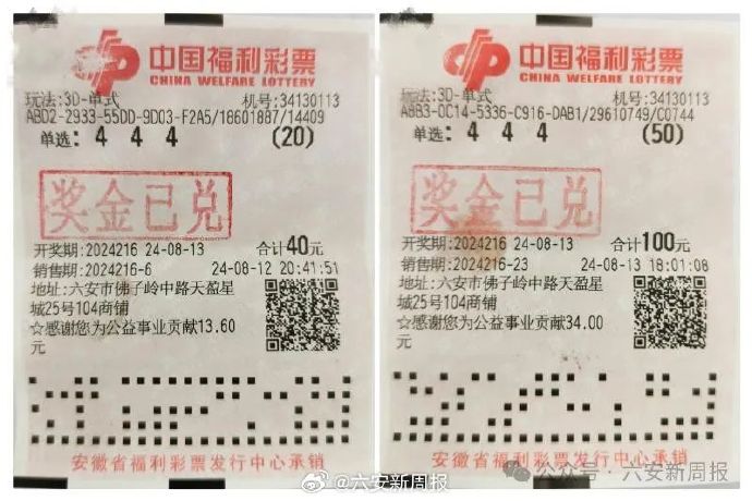 福彩3D 2022117期开奖结果深度解析，幸运数字背后的社会文化与个人故事
