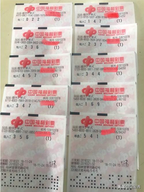 探索3D试机号与开机号的奥秘，一场数字游戏的深度解析