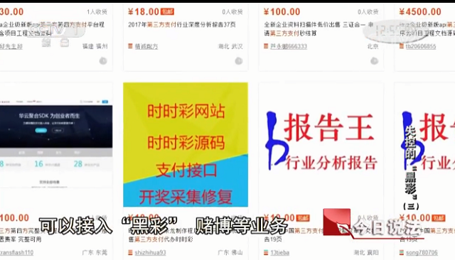 探索中国彩票网软件的奥秘与影响