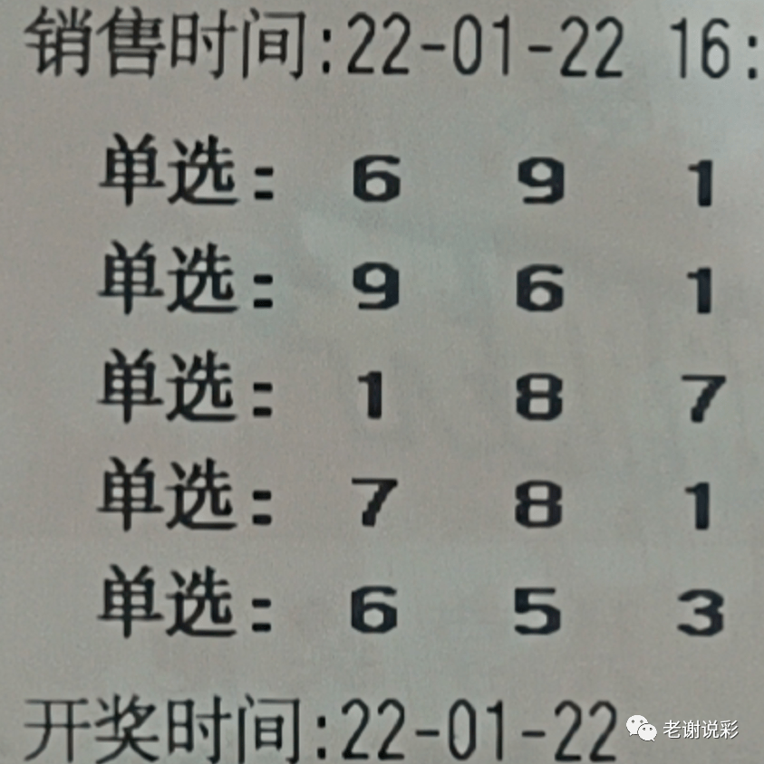 今日3D一句定三码字谜，牛彩背后的智慧与乐趣
