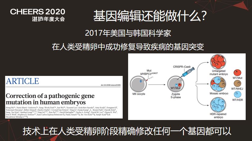 奥克塔尔，重塑人类基因编辑的伦理与未来