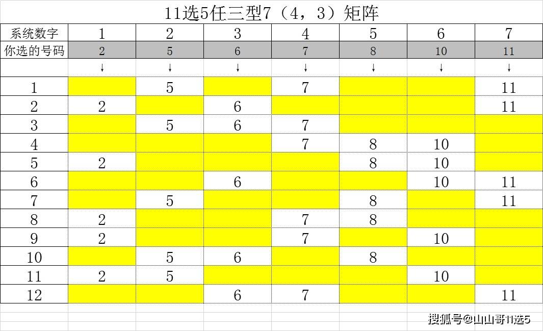 广西11选5开奖走势，透视数字背后的规律与机遇