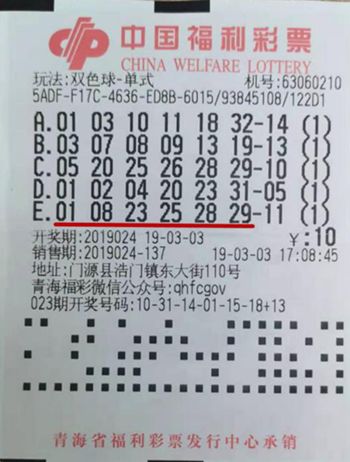 青海11选5，今日开奖揭秘与彩民心声