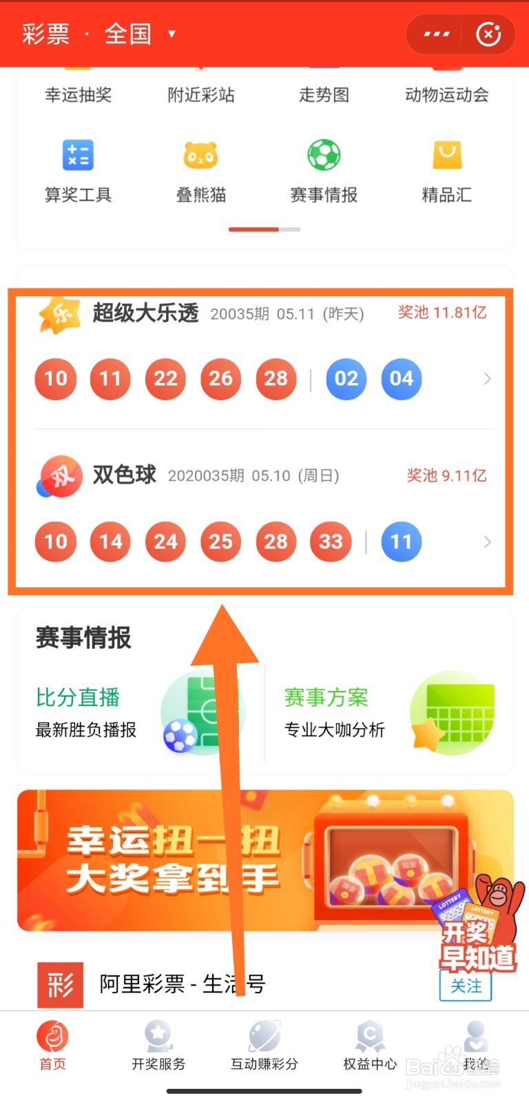 买的彩票怎么看结果，从购买到查询的全面指南