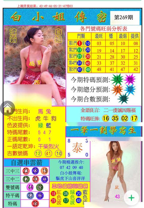 揭秘白小姐六肖选一肖中特72期，概率与智慧的较量