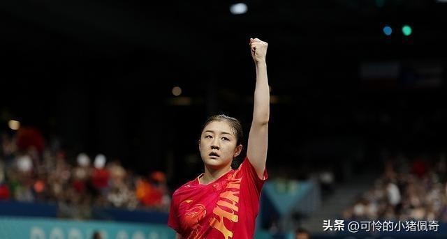 澳门2024年全免咨询资料概览