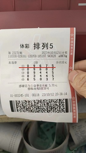 理性投注