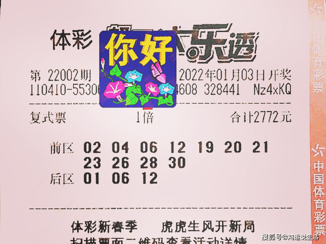大乐透10倍追加，梦想与现实的华丽碰撞