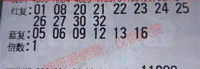 福彩双色球复式投注策略与7+1组合的魅力