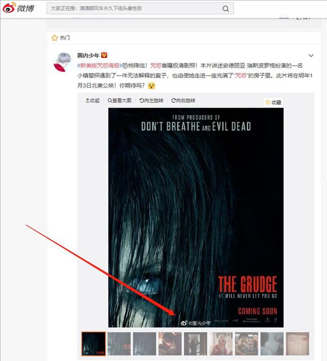 探索02头像高清无水印的魅力，解锁个性化与专业性的完美融合