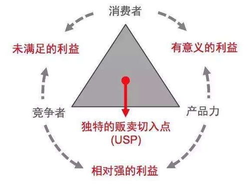 构建稳固基石，理解并遵循基本原则的重要性